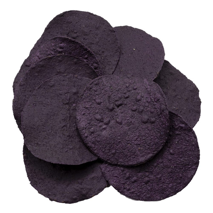 Tortillas de maíz tostadas moradas